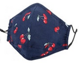 Reusable N95 Respirator Mask - Certified